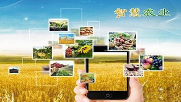 智能农业为什么能取代传统农业-青年导网