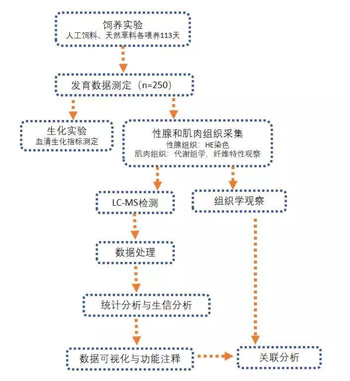 代谢组学论文文献解读