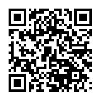 深圳金荣港通汽车租赁