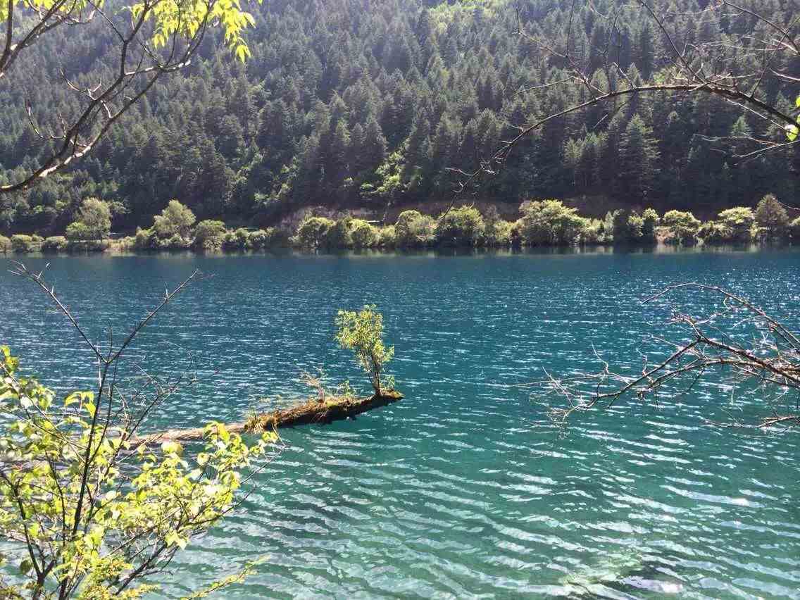 重庆三峡旅游-重庆旅游公司-青年导网