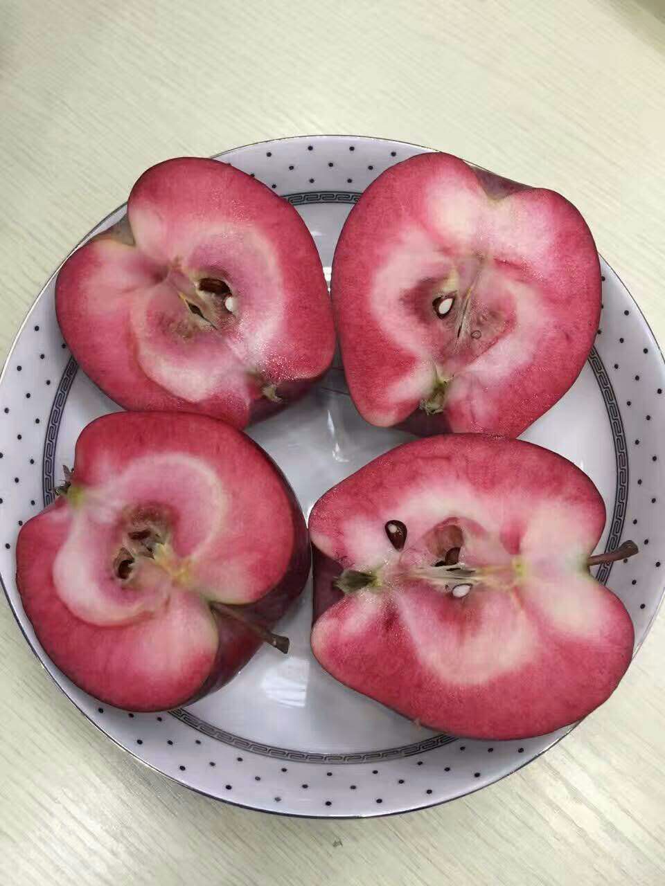 质量好而不贵的红心苹果树苗