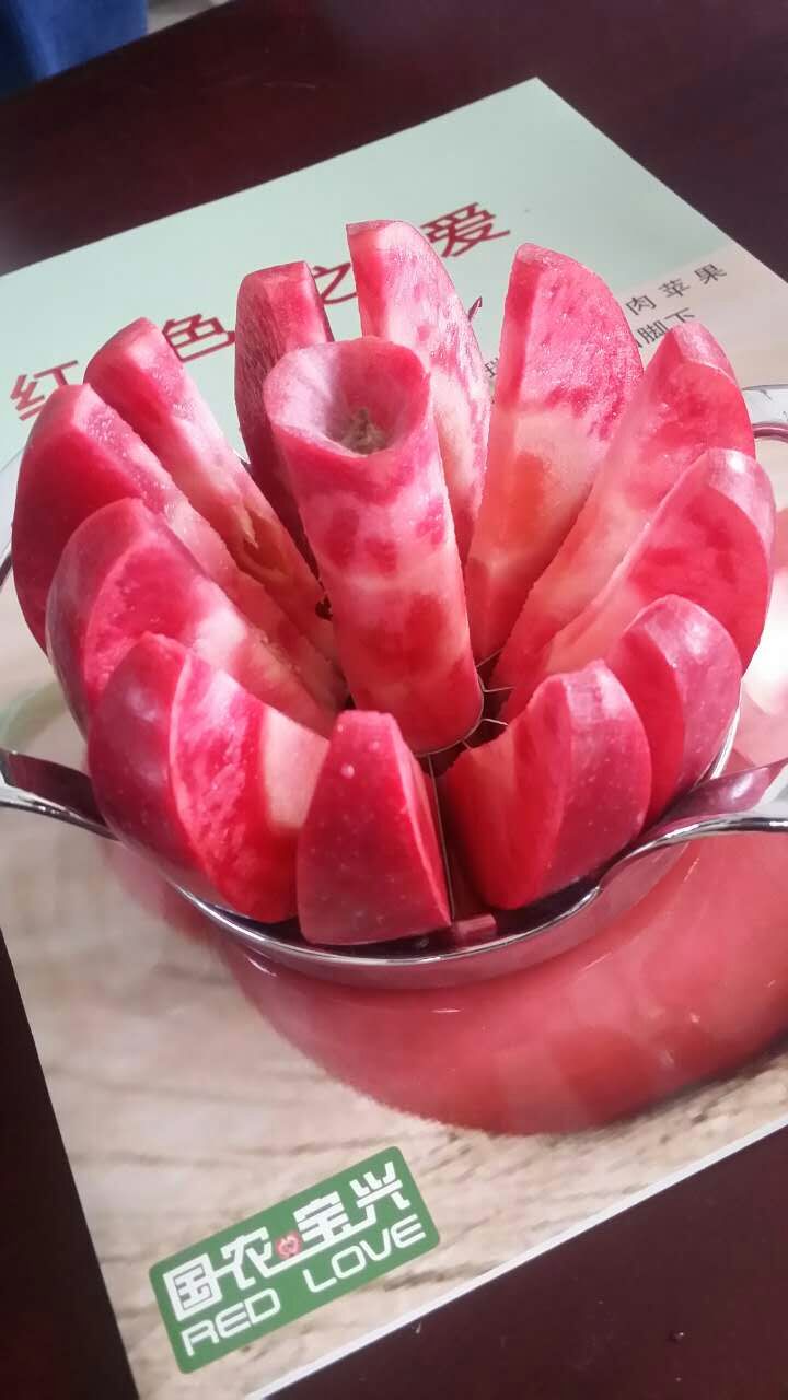 最实用的红心苹果树苗
