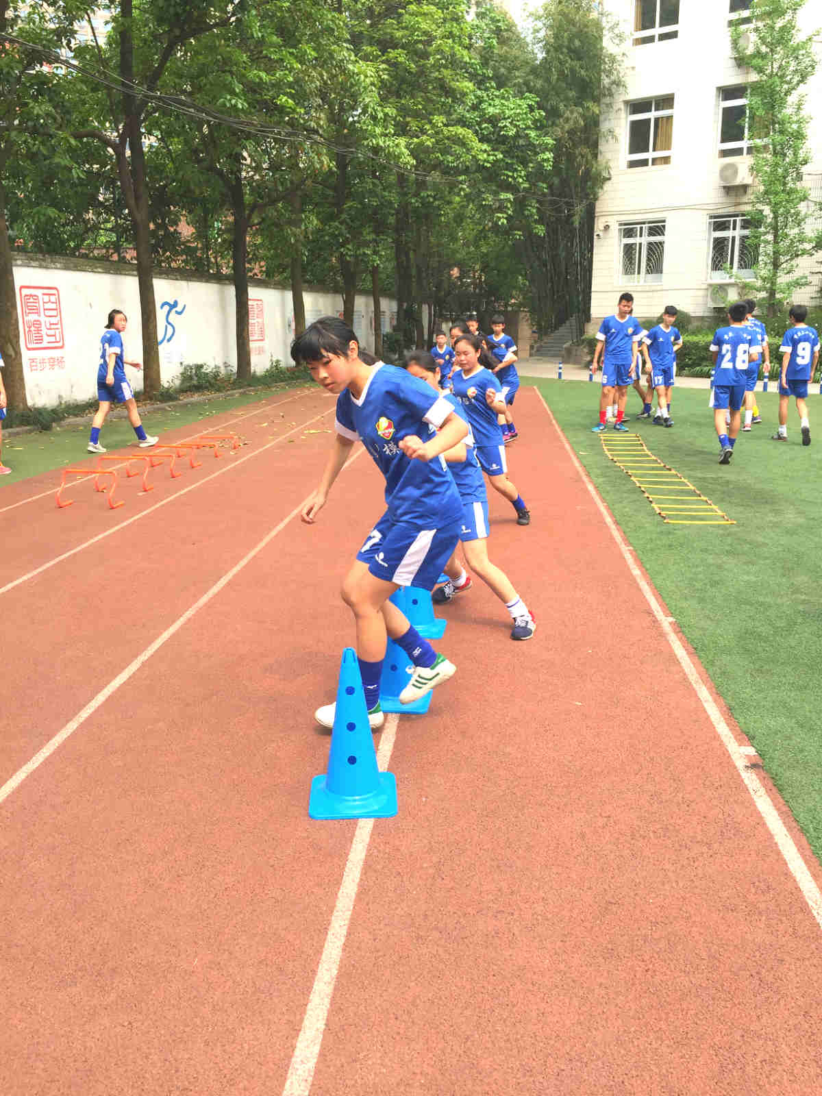 必不可少的重庆体育培训公司