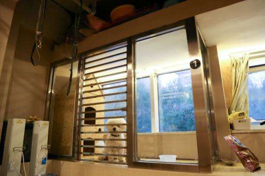 哈希娱乐- 哈希游戏平台- 哈希游戏官方网站一站式“毛孩子”托管服务五一假期宠物酒店订单提前爆满解决养宠家庭出行难题