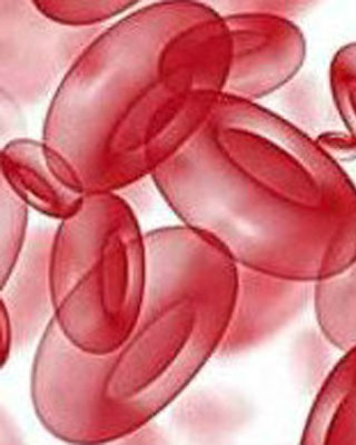 上海泰思特司法鉴定有限公司